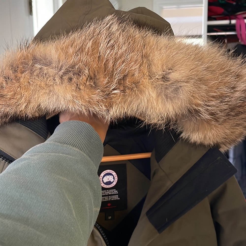Canada Goose - Picture 13 of 17